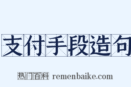 支付手段造句是什么意思的图片